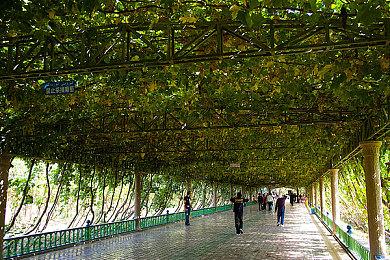 《Everholm》11月登陆Steam 像素风开放世界RPG